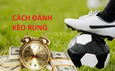 Thế giới bóng đá sôi động, cập nhật liên tục trên  7msport - 7msport.one