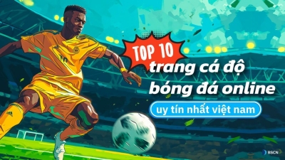 Top 10 trang cá cược bóng đá uy tín trên thị trường Việt Nam tại trangcacuocbongda.lat